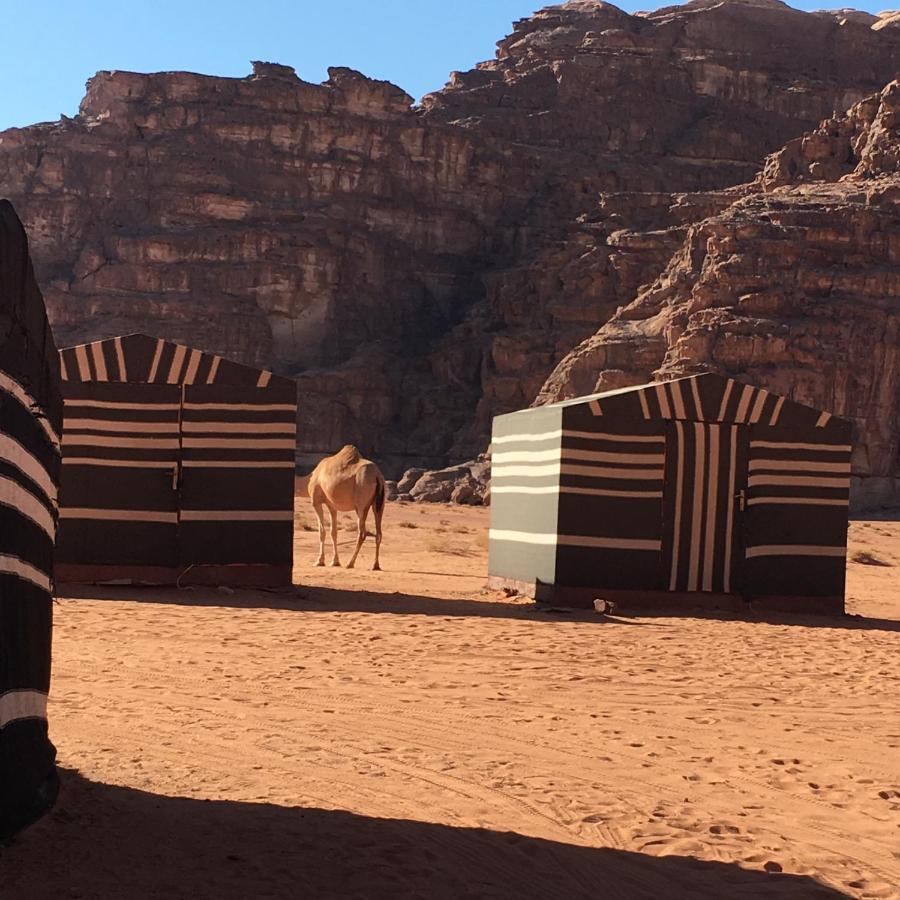 Wadi Rum Jordan Camp Exteriér fotografie